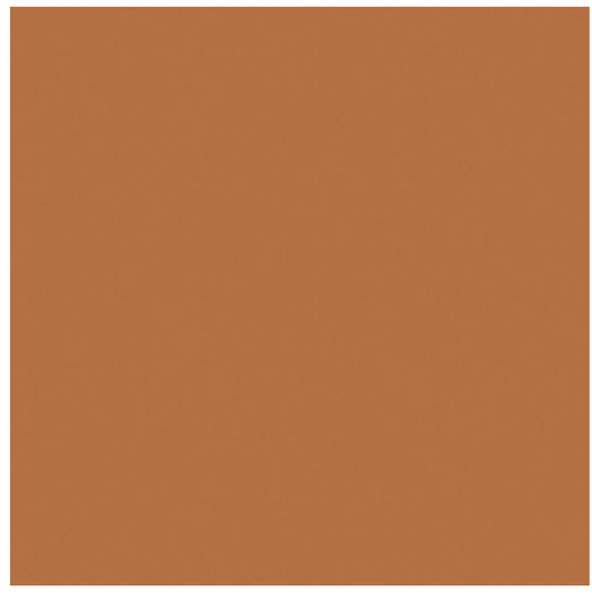 Carrelage 20x20 cm BAUHOME Terracotta