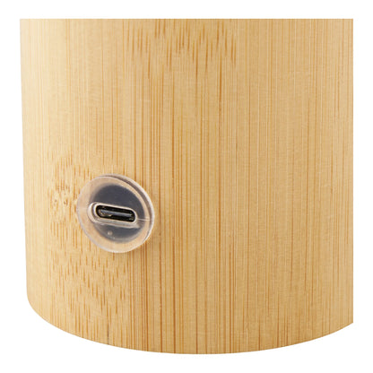 Détail du port de recharge USB de la lampe Stafford rechargeable