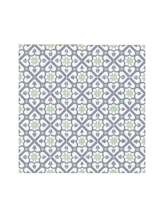 Carreaux de ciment traditionnels 20x20 cm